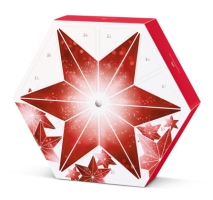 (obrázek pro) Adventní kalendář