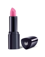 (obrázek pro) Lipstick 01 rosebay