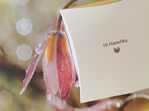 (obrázek pro) Vánoce 2017